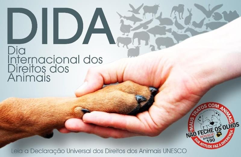 dia internacional dos direitos dos animais