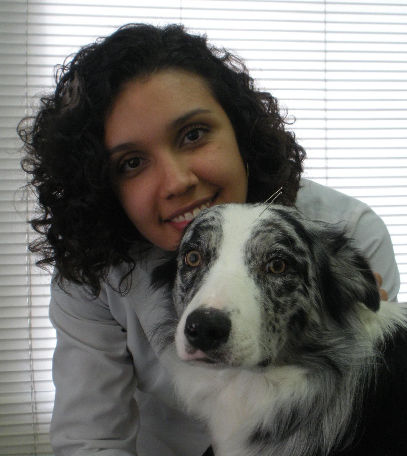 carol gaia acupuntura veterinária