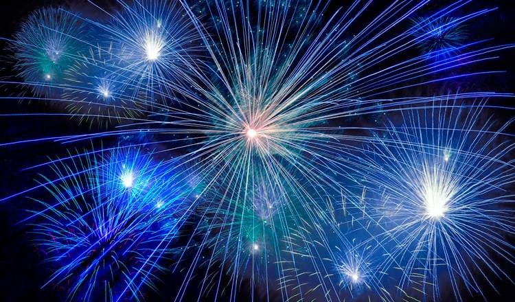 Como manter seu cão seguro e à vontade com fogos de artifício