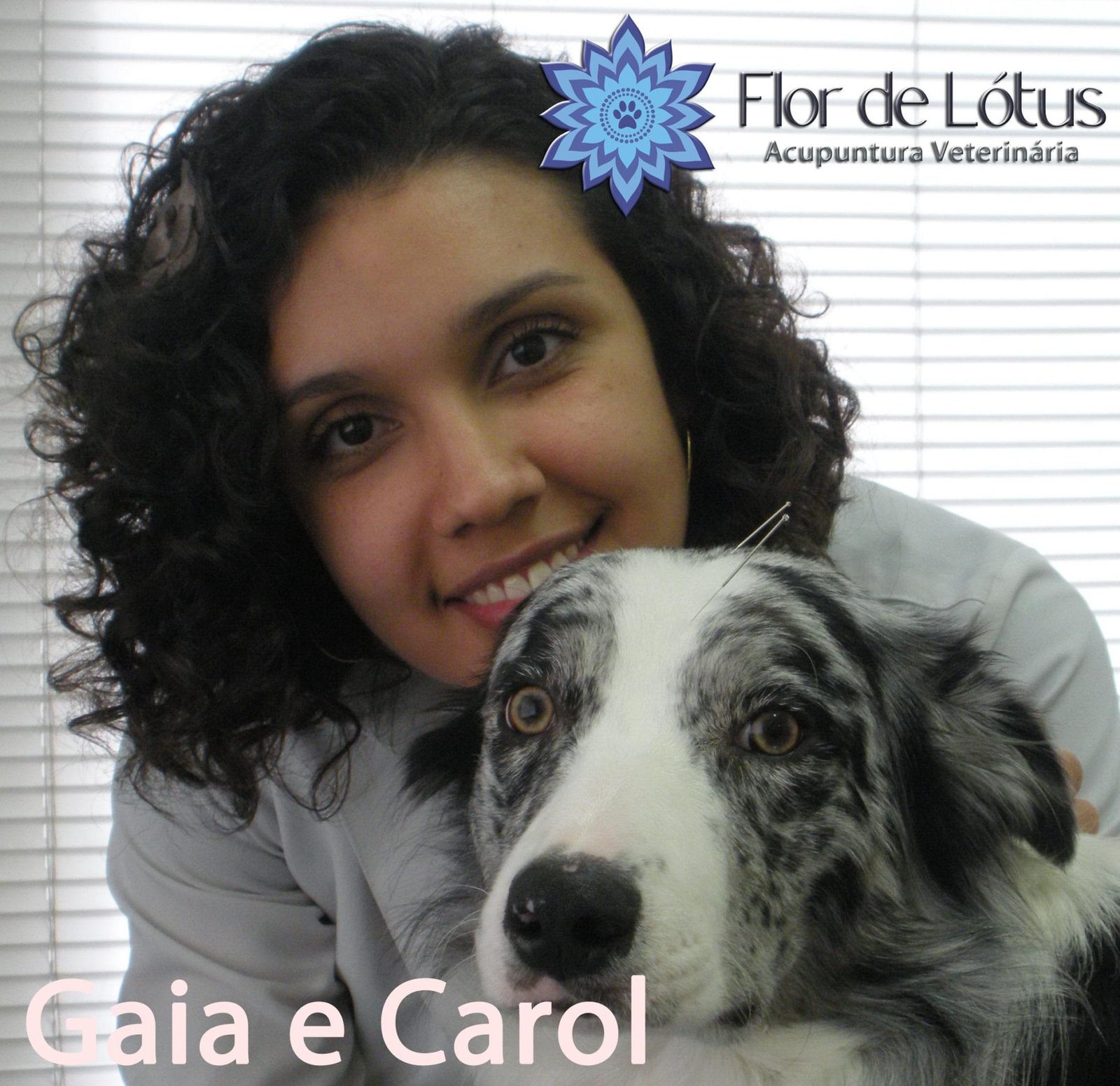 carol gaia medico veterinario medicina veterinaria